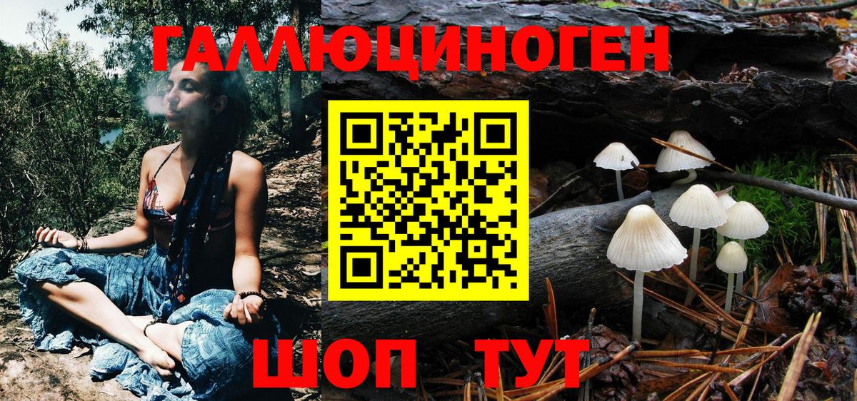 Псилоцибиновые грибы Psilocybe Тамбов